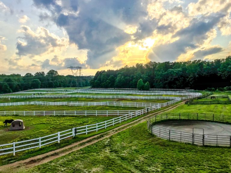 Always Improving Magnolia Equestrian Center